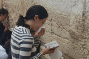 娱乐圈里的人吃瓜图片